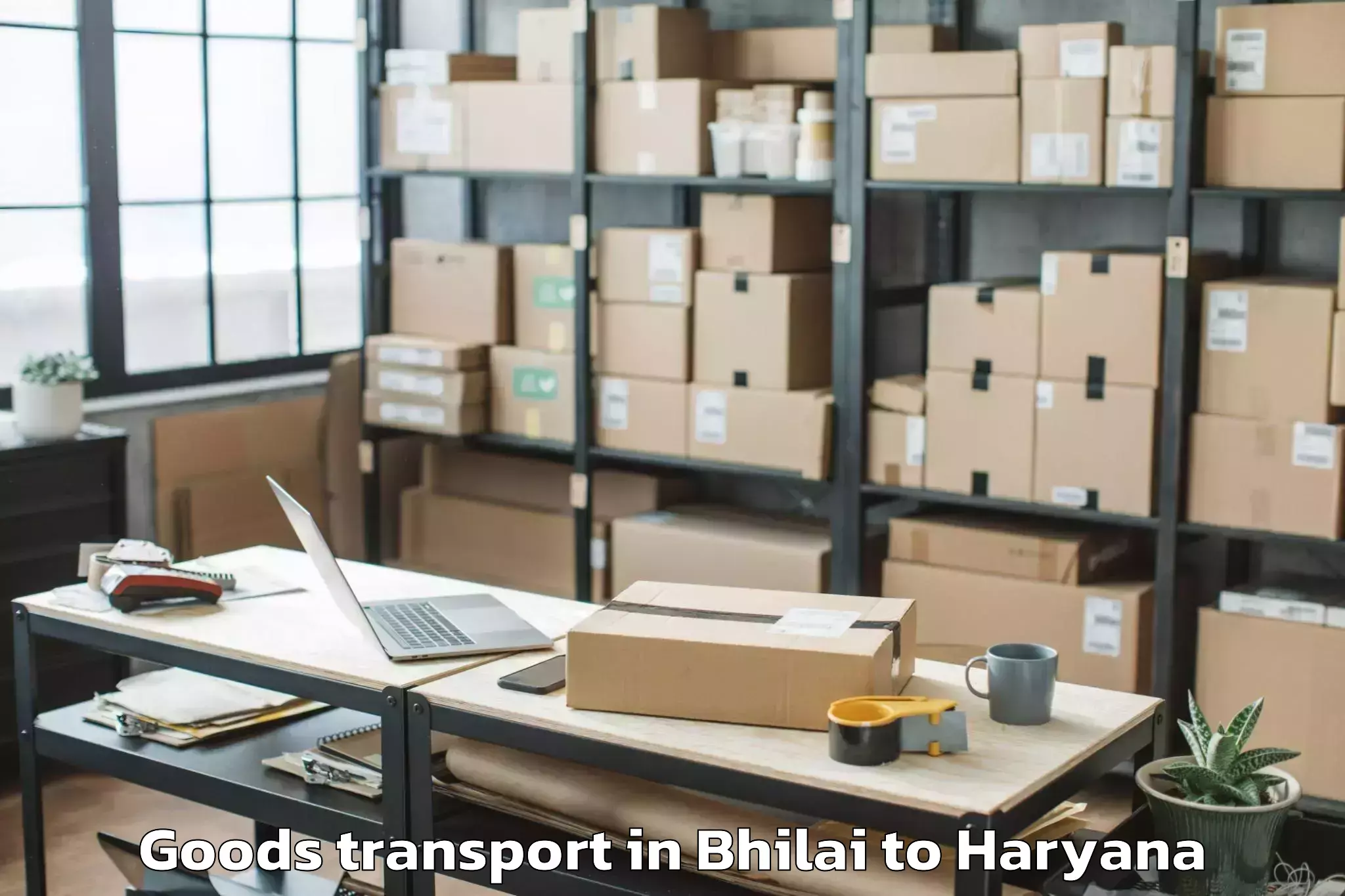 Easy Bhilai to Jind Goods Transport Booking